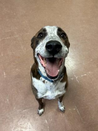 Miles — thumbnail 3