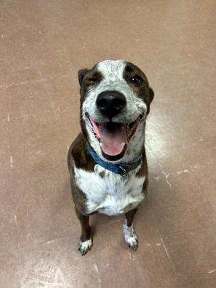 Miles — thumbnail 4