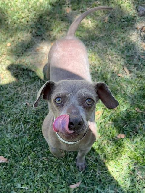 Precious thumbnail 2