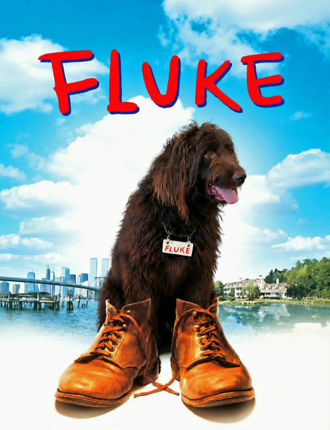 Enlarge Fluke, a Adoptable mixed breed in Marion, NC image 3/4