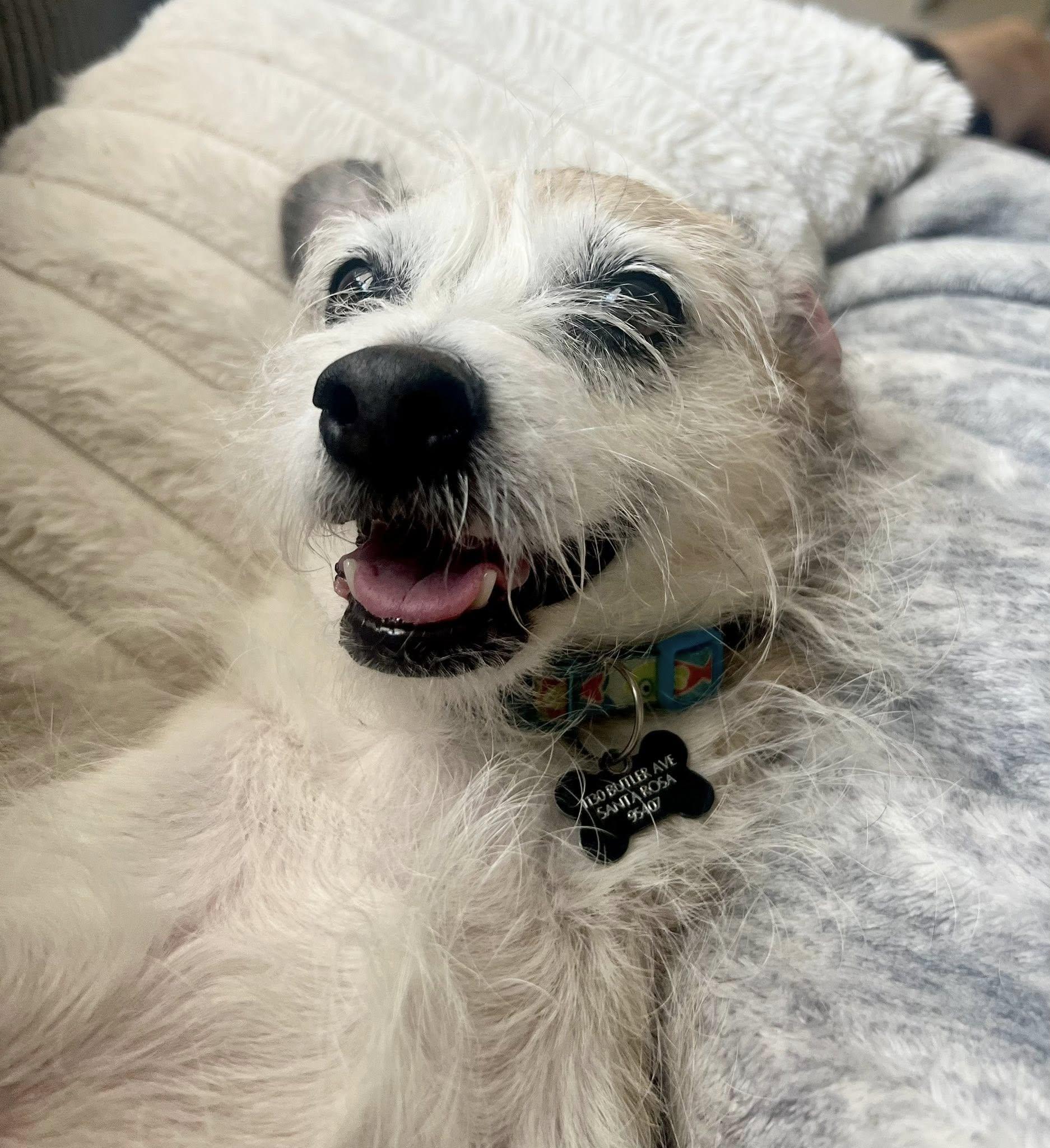 Molly 2