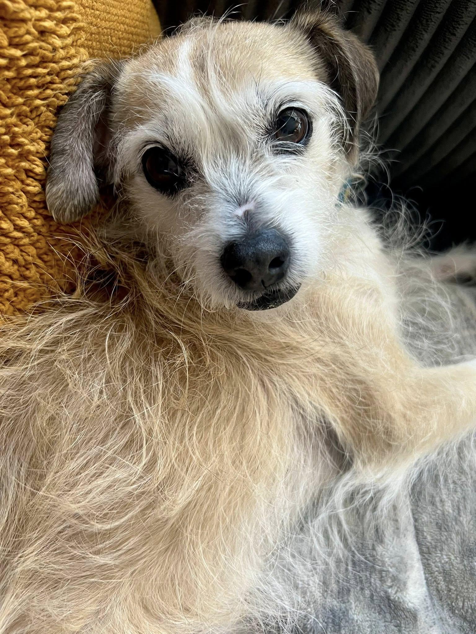 Molly