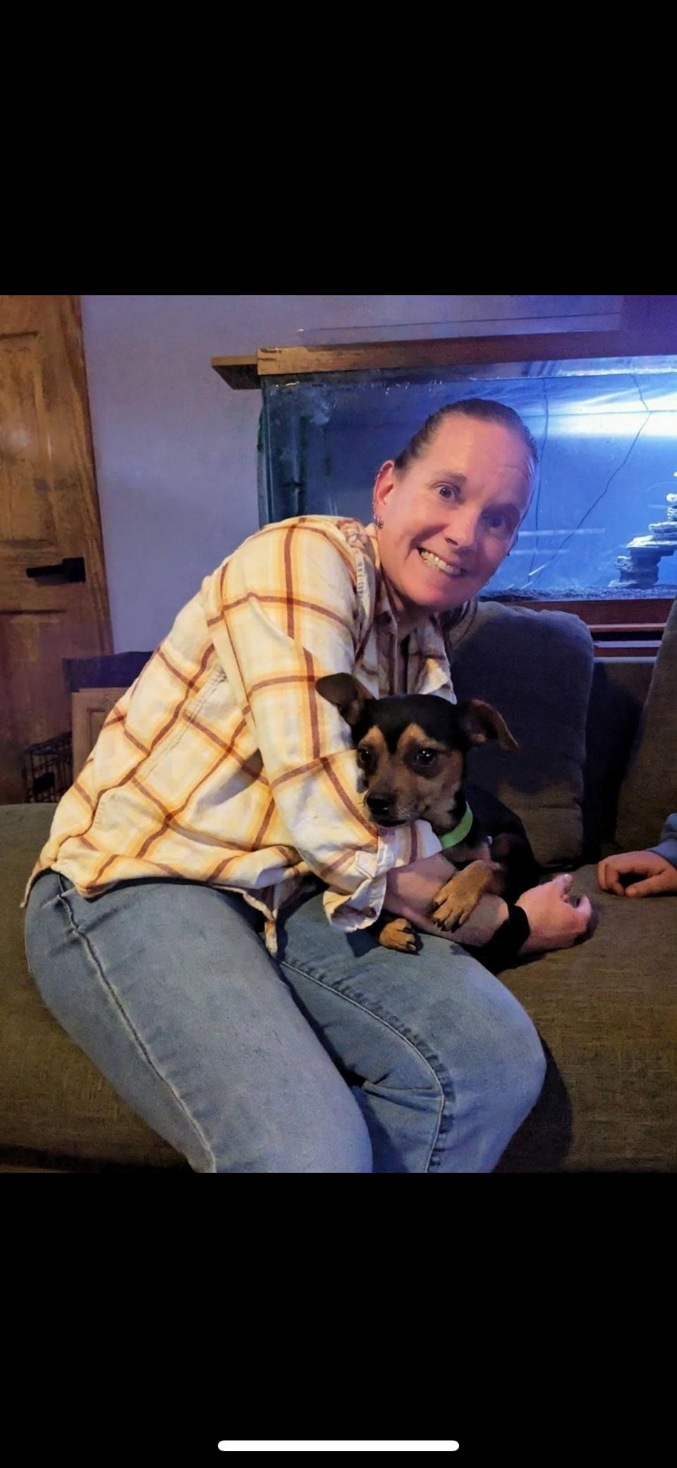 Enlarge Nugget, a ADOPTABLE mixed breed in Cary, NC image 2/5