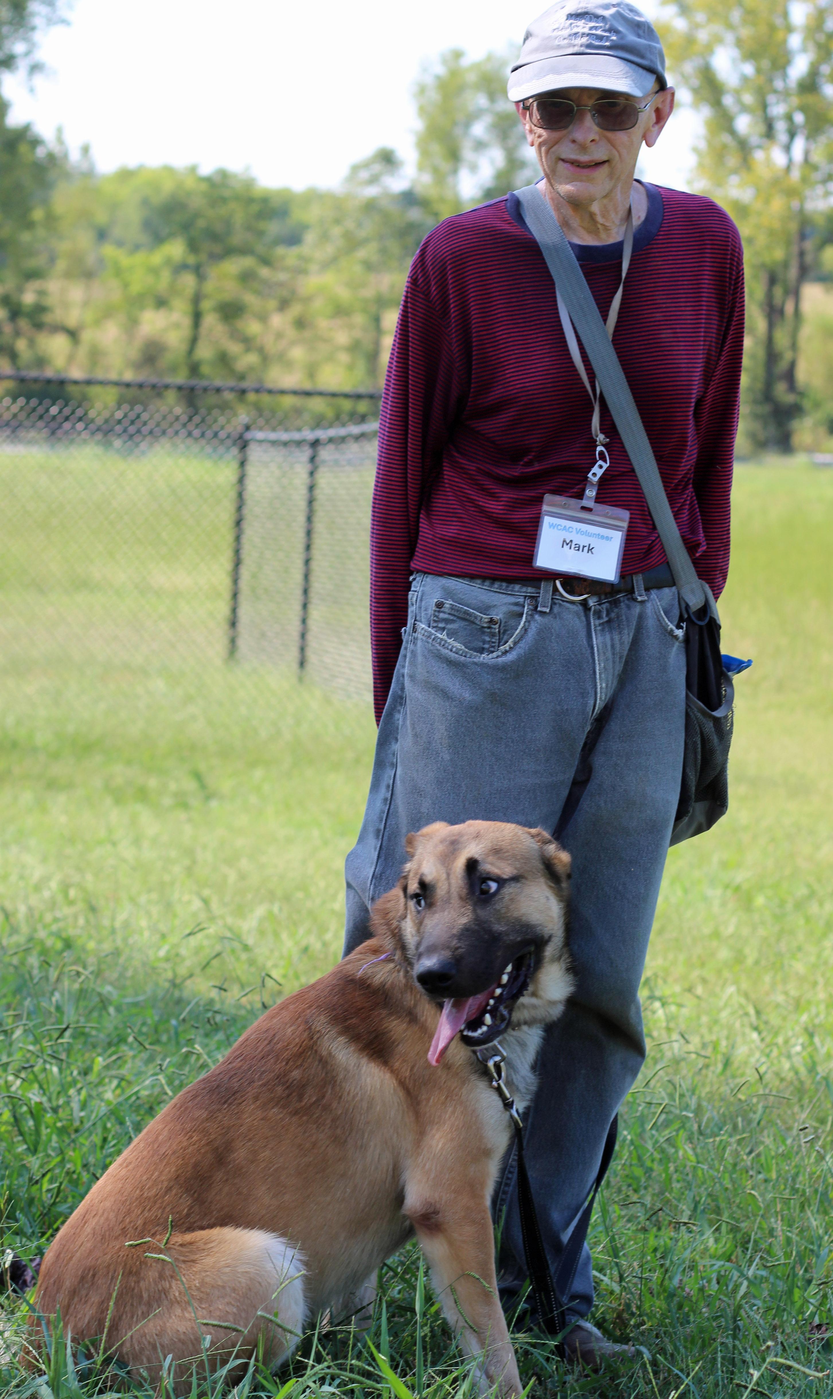 Enlarge Desi, a Adoptable mixed breed in Lebanon, TN image 6/6