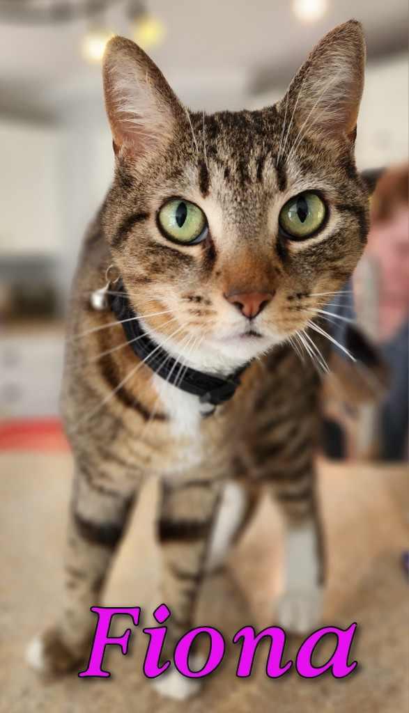 Fiona