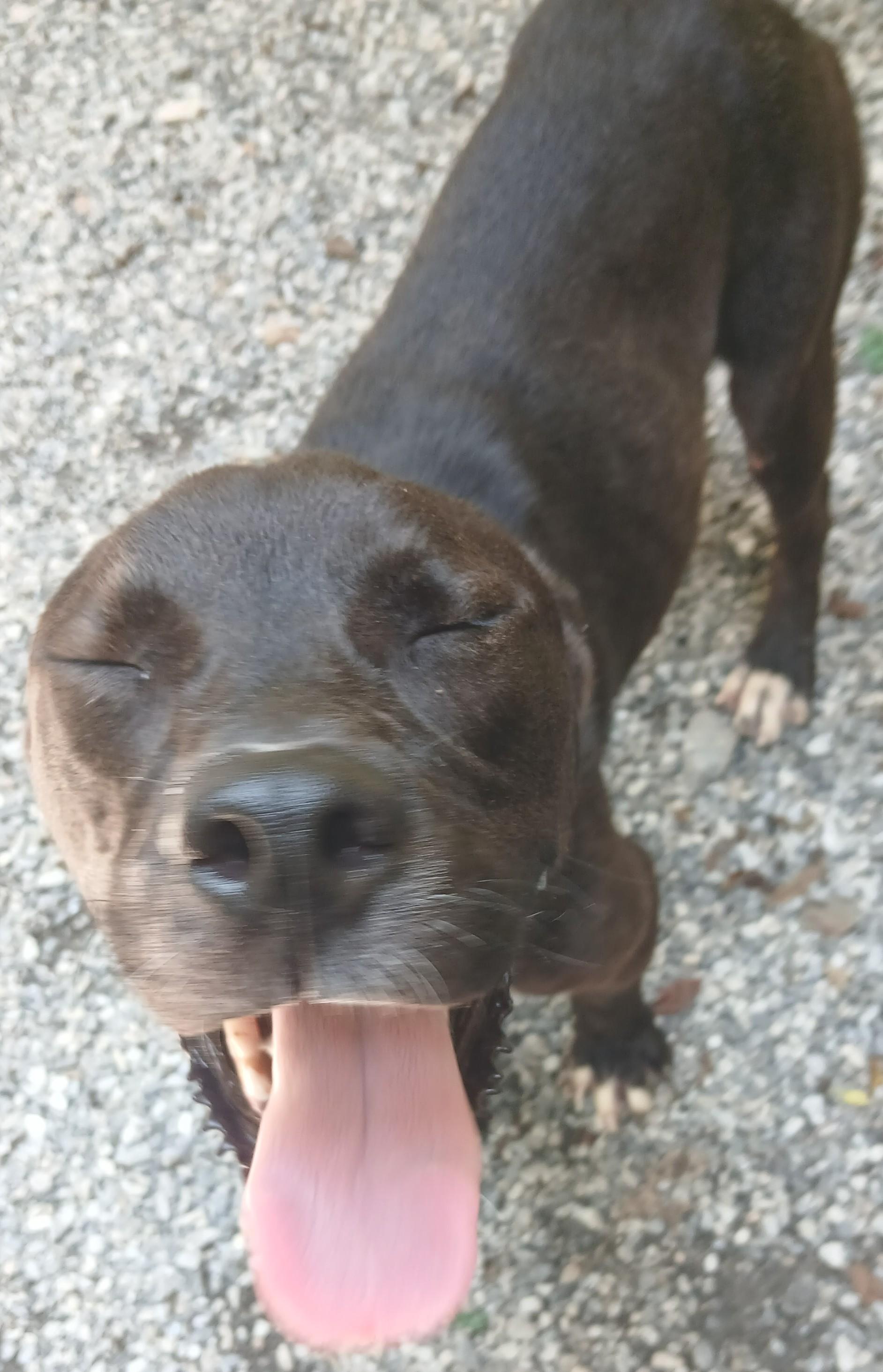 Luka