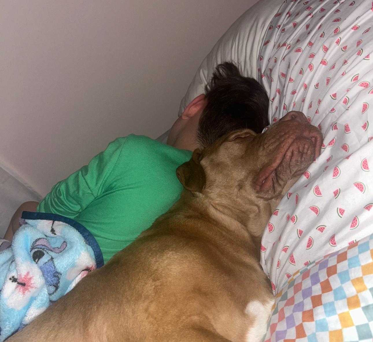 Enlarge Una, a Adoptable mixed breed in Troy, MI image 4/6