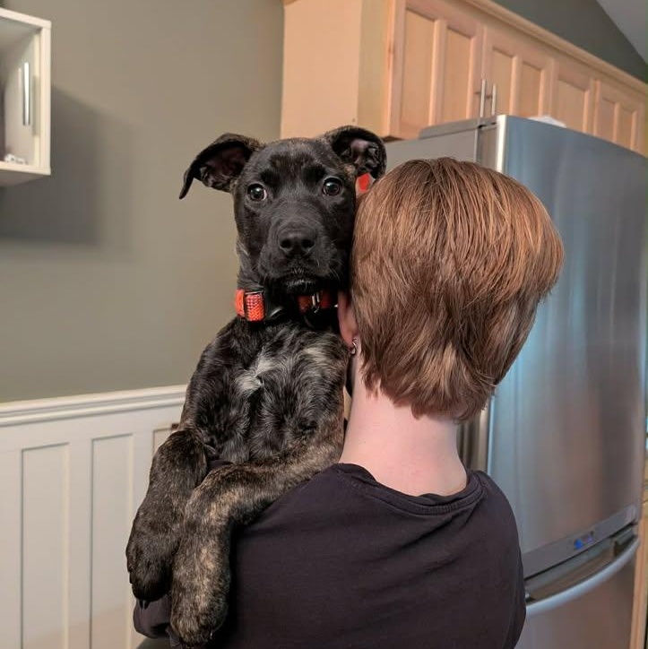 Little Bambam (20260216-08) — thumbnail 3