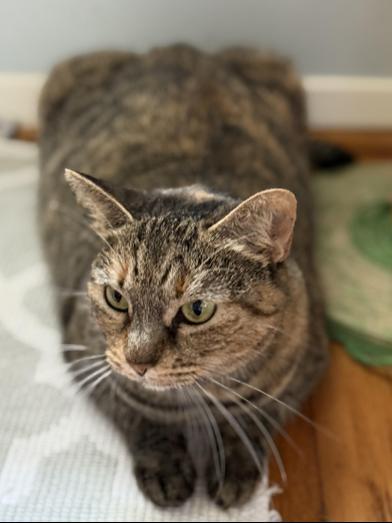 Mila — thumbnail 2