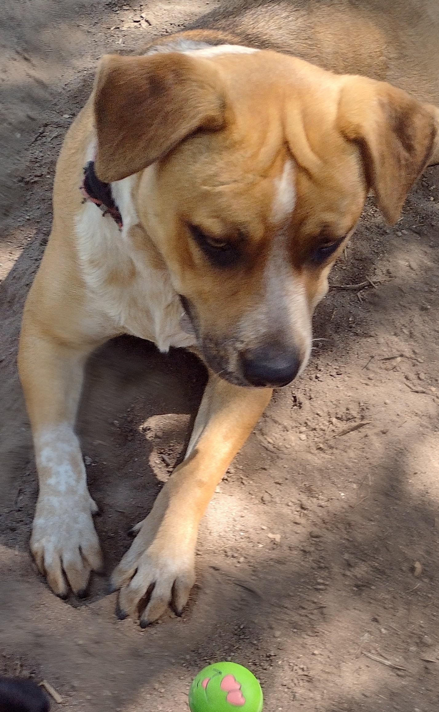 Laverne photo 6