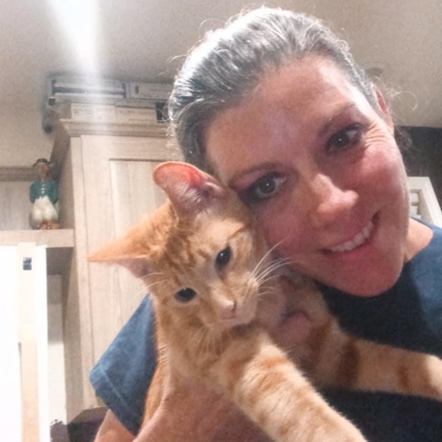 Papaya, a Adoptable mixed breed in Antioch, CA image 4/6