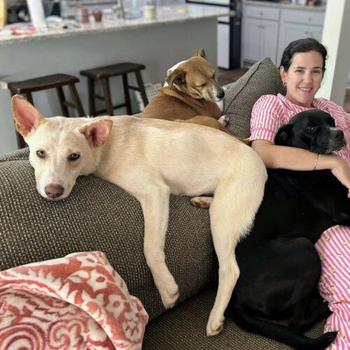 Enlarge Sally, a Adoptable mixed breed in Wilmington, NC image 5/6