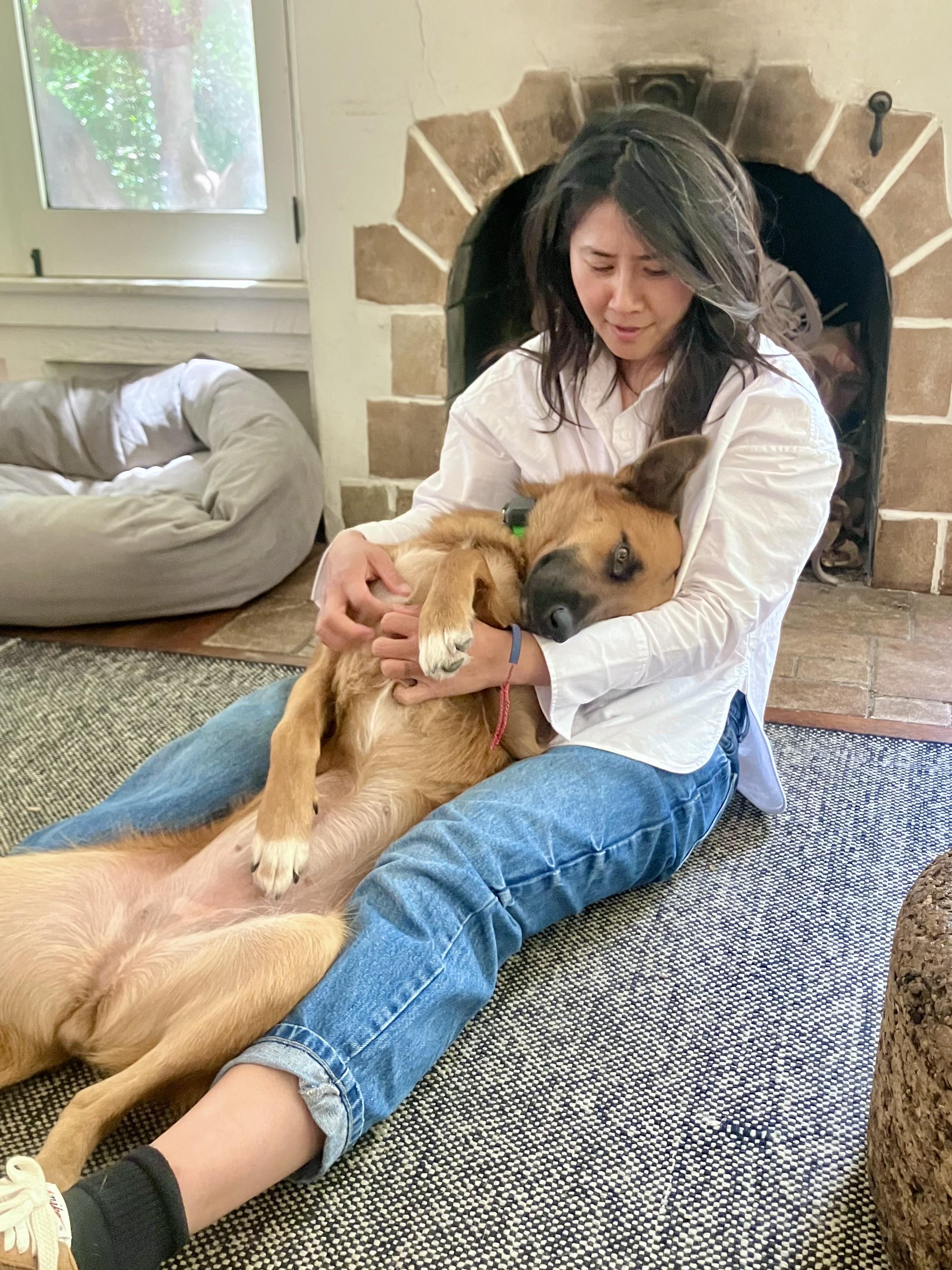 Enlarge Hashbrowns, a ADOPTABLE mixed breed in Los Angeles, CA image 5/6