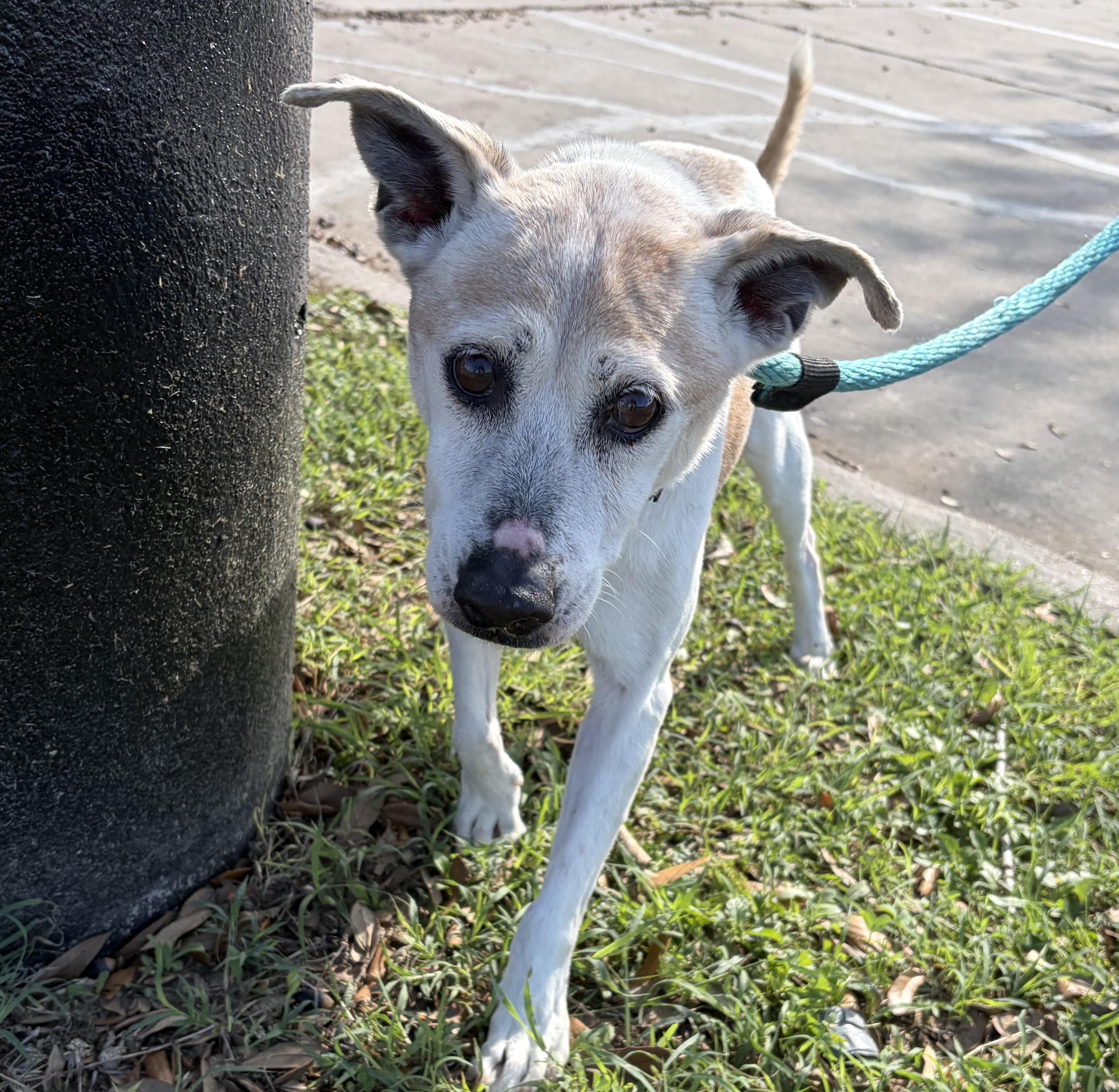 Hailey — thumbnail 3