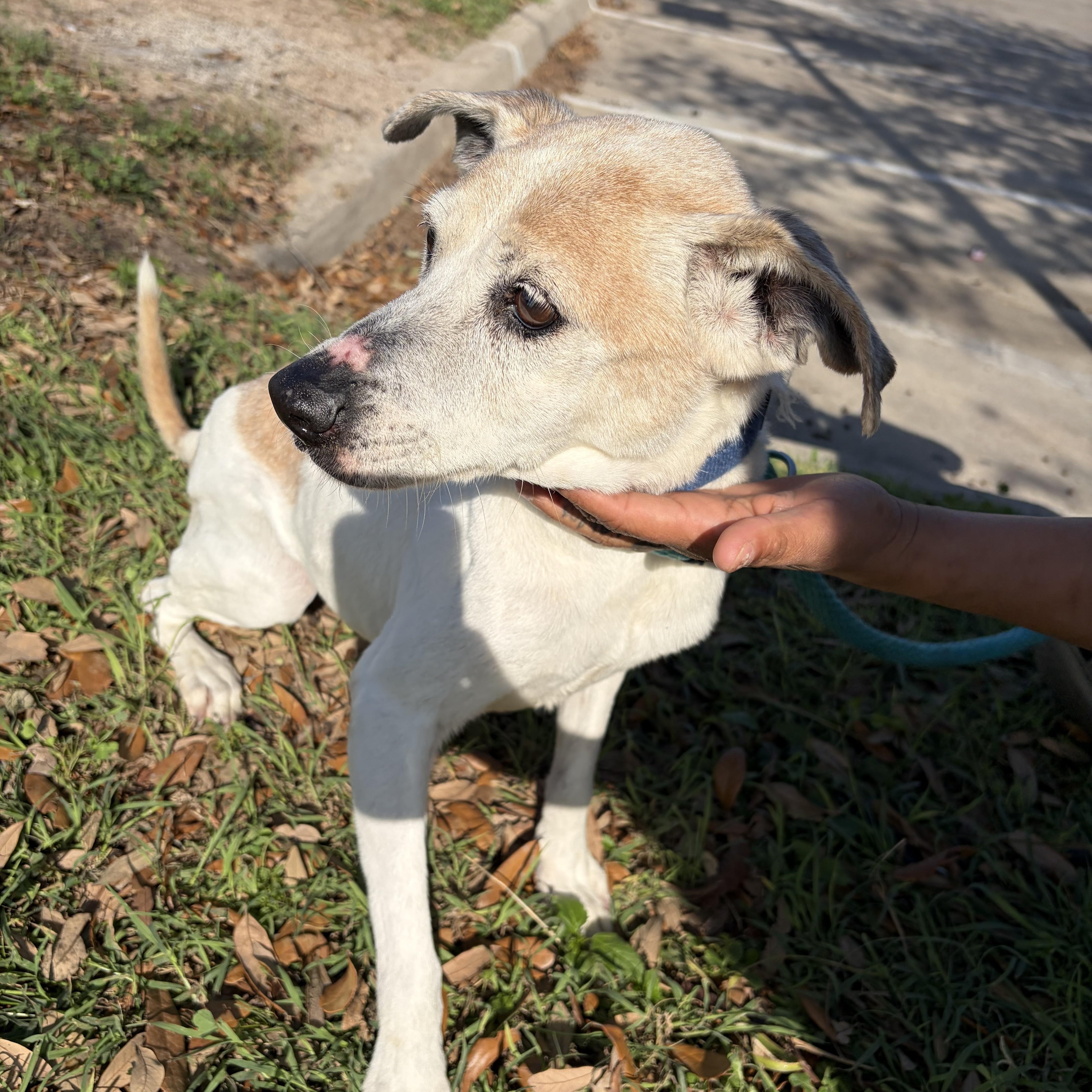 Hailey — thumbnail 4