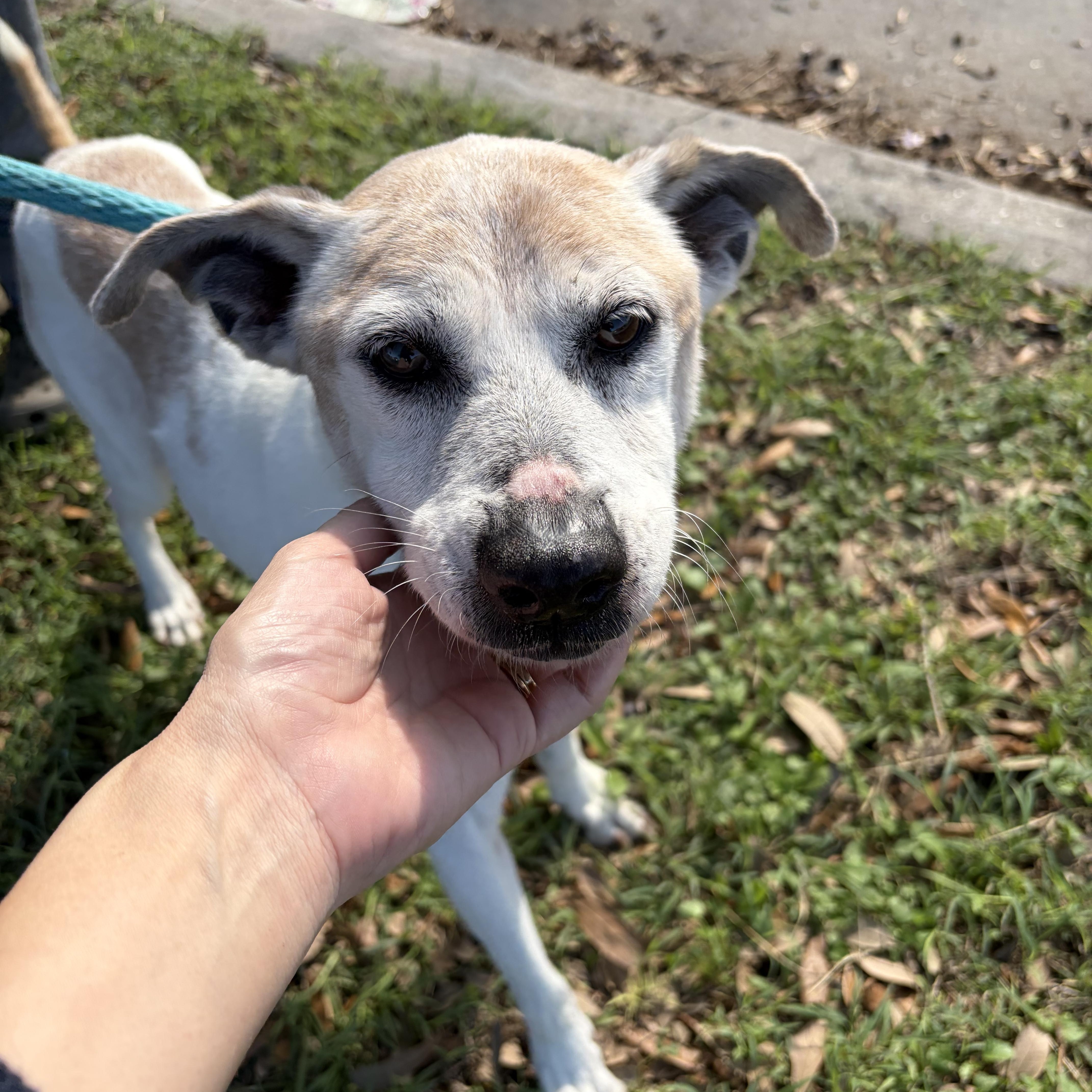 Hailey — thumbnail 5