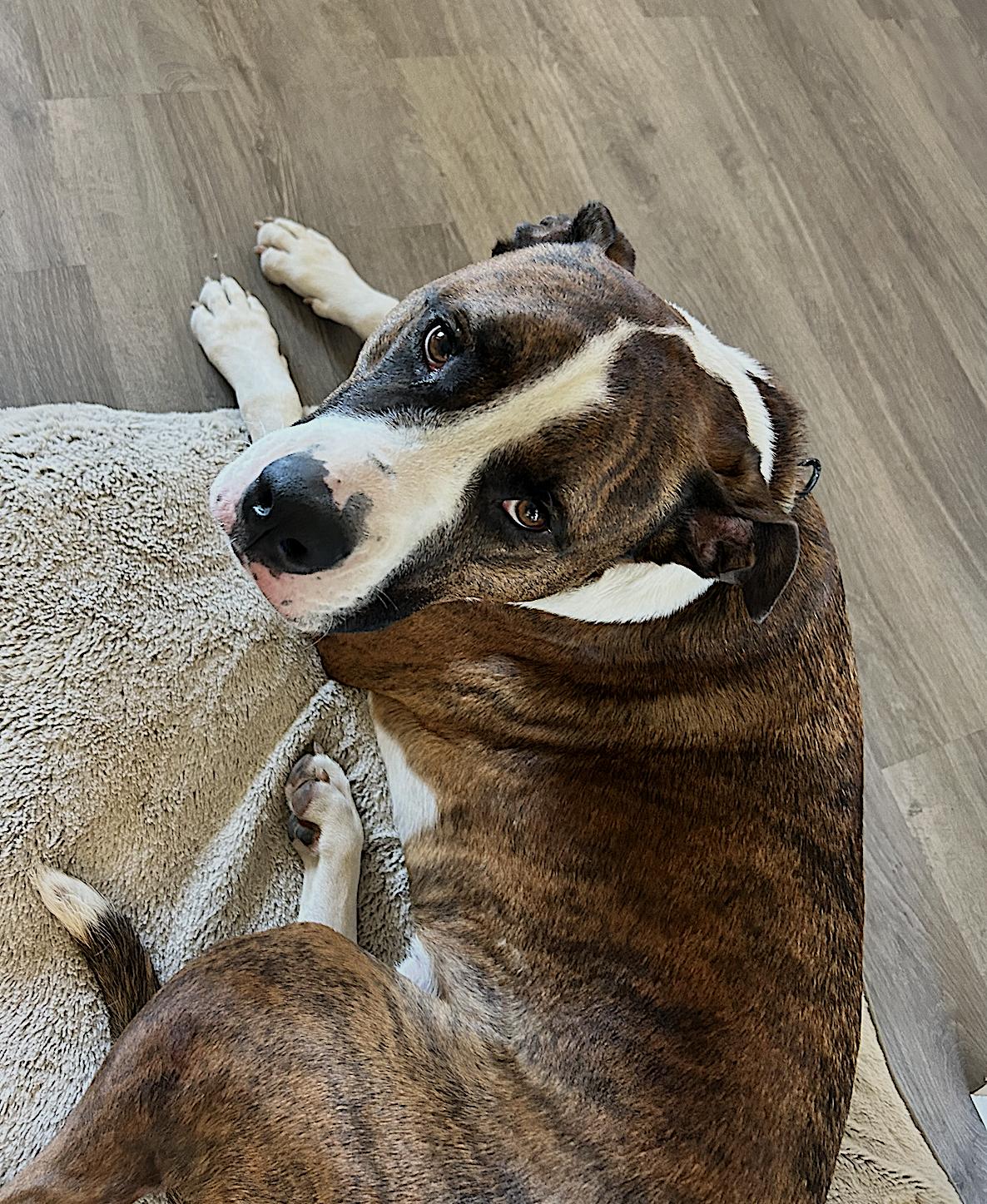 Yuli — thumbnail 5