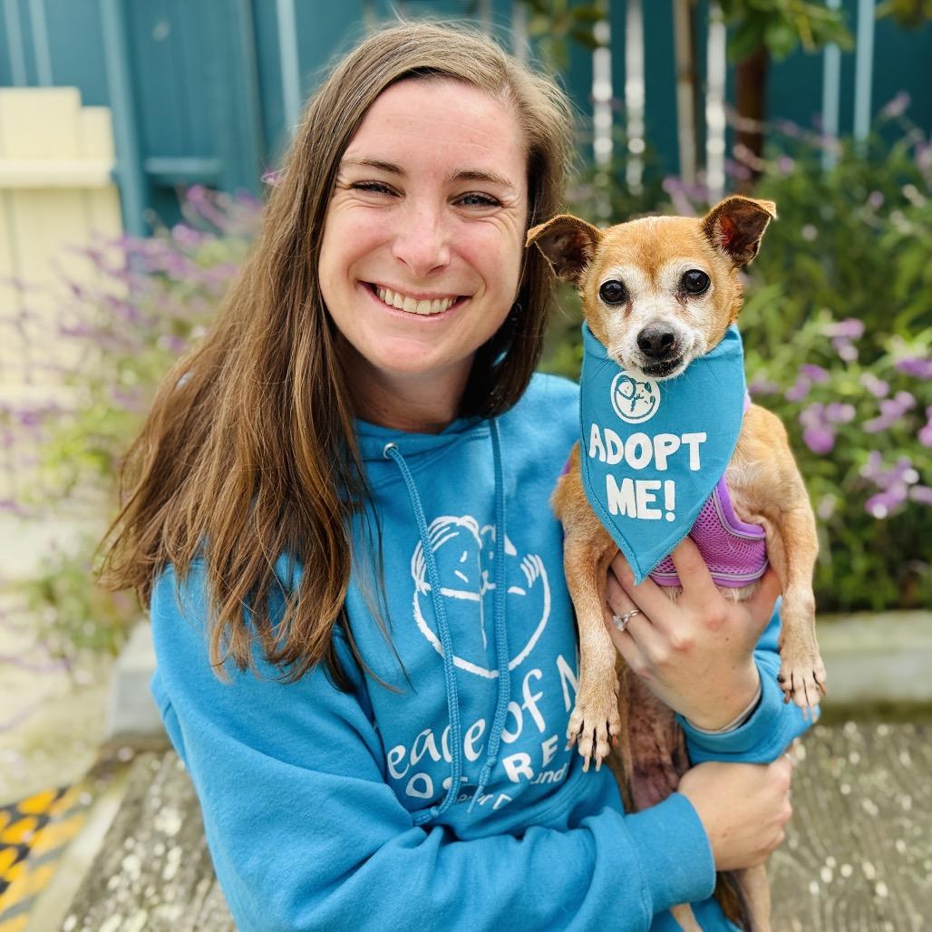 Beanie Baby — thumbnail 4