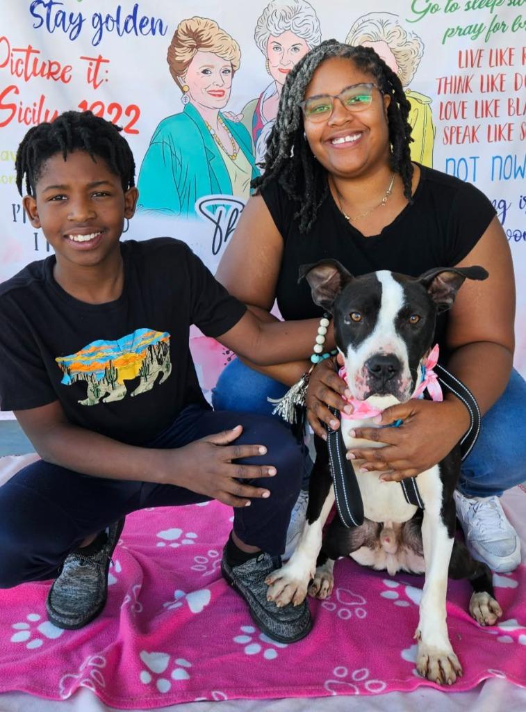 Enlarge Skully, a Adoptable mixed breed in Hartsville, SC image 4/6