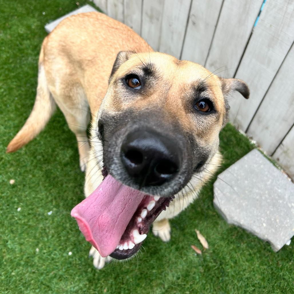 Charlotte De' Vebb — thumbnail 2