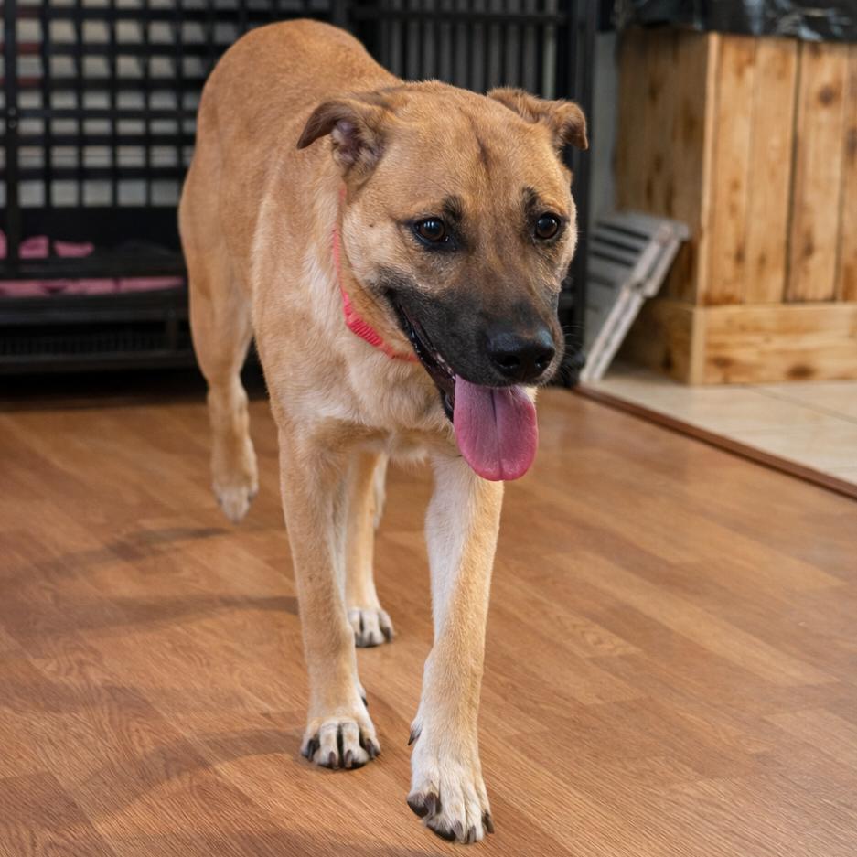 Charlotte De' Vebb — thumbnail 3