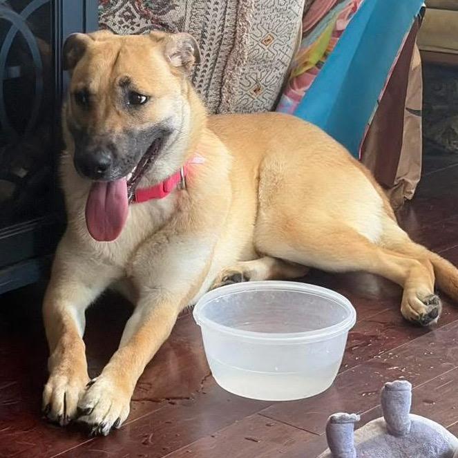 Charlotte De' Vebb — thumbnail 5