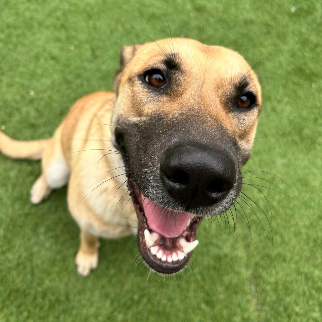 Charlotte De' Vebb — thumbnail 6