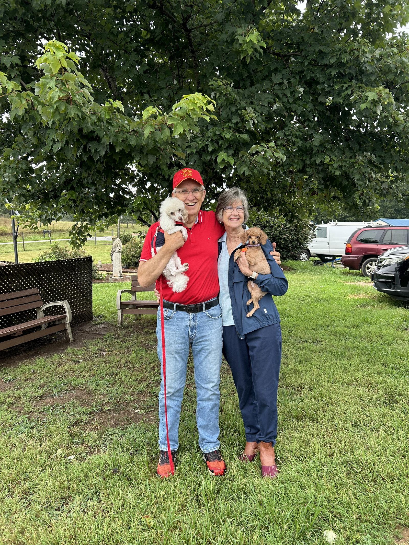 Enlarge Daphne Jul 26 PHOTOS + DES + GROOM, a Adopted Poodle in Pacolet, SC image 2/2