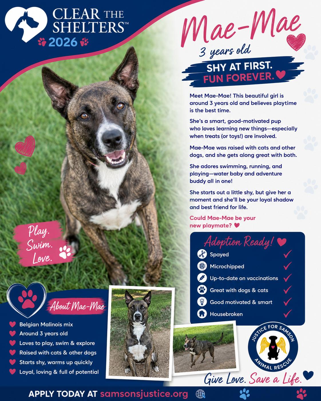 Enlarge Mae, a Adoptable mixed breed in Falfurrias, TX image 3/3
