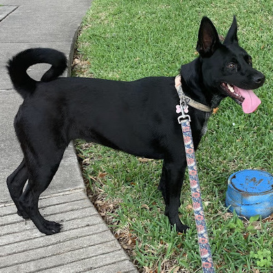 MISS LUNA — thumbnail 2