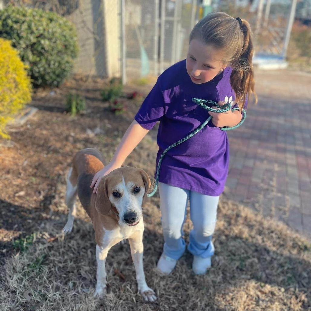 Buck, a Adoptable mixed breed in Windsor, VA image 2/6