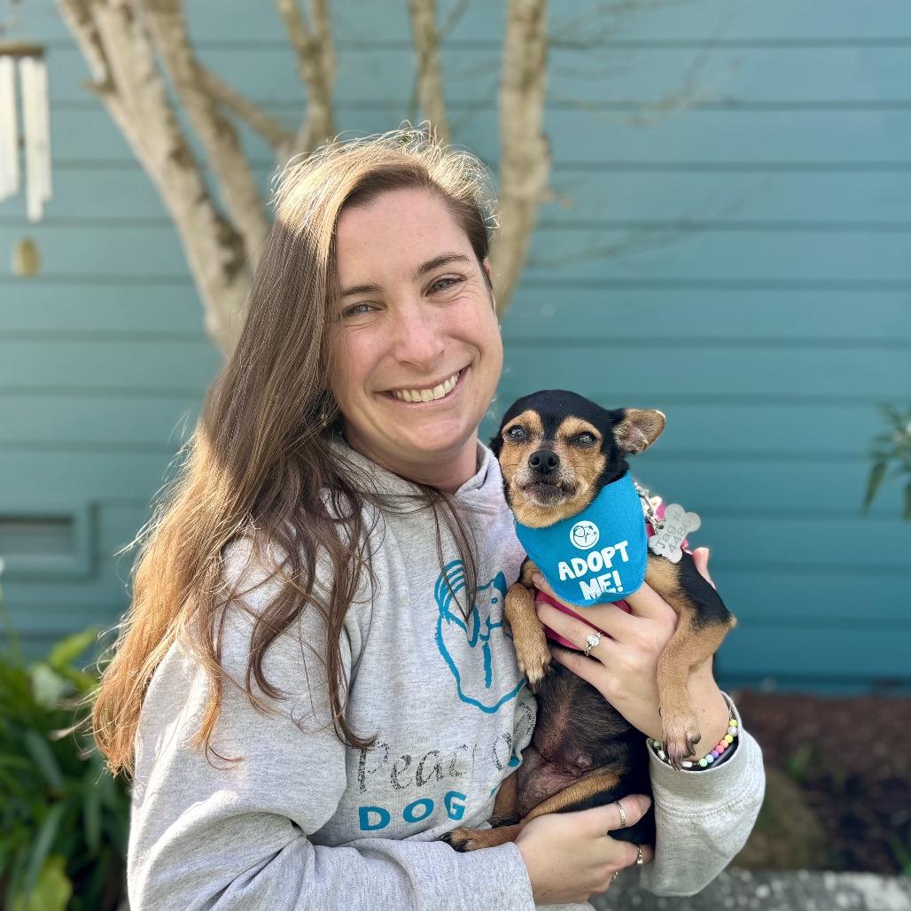 Godiva — thumbnail 2