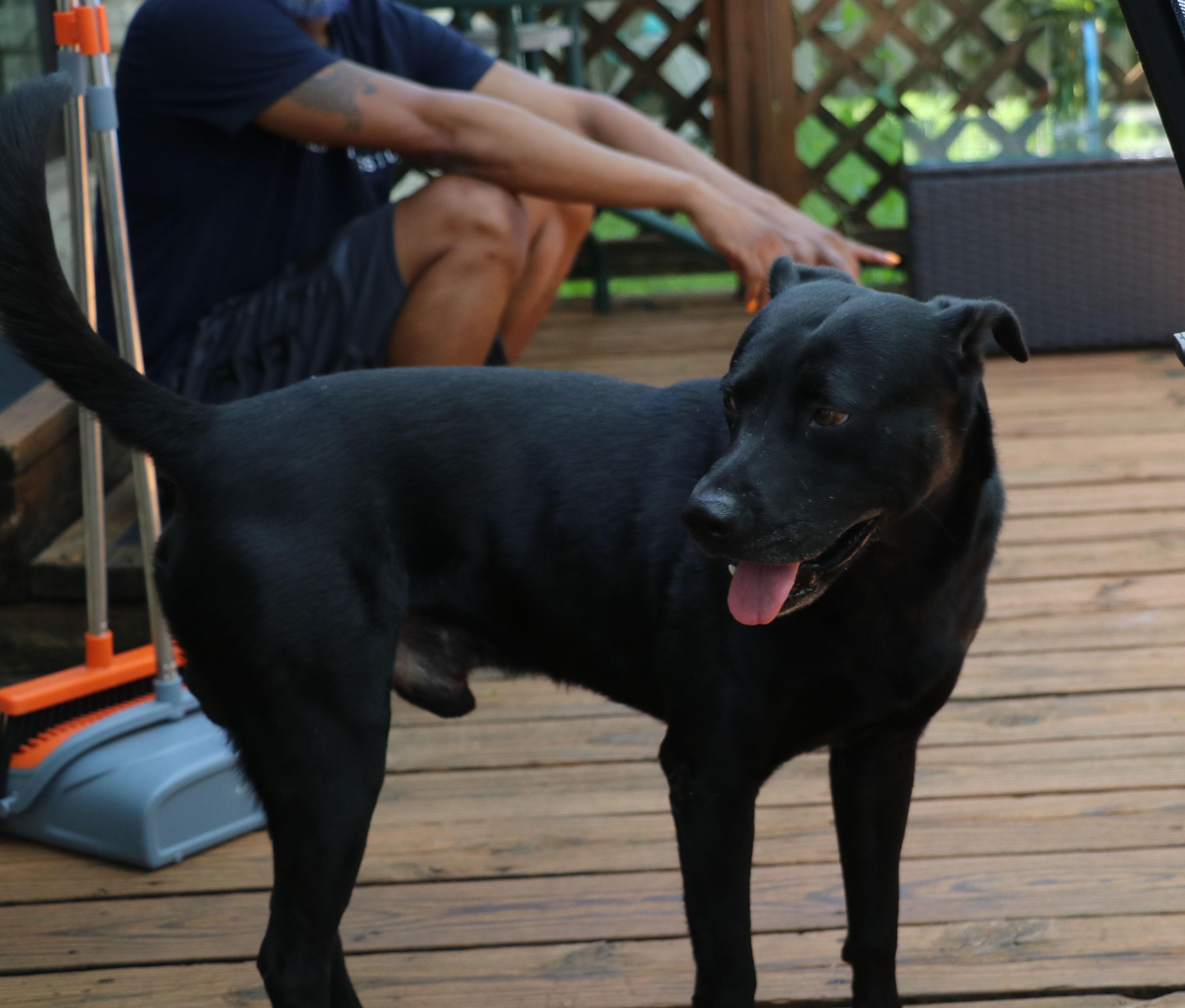 Quincy