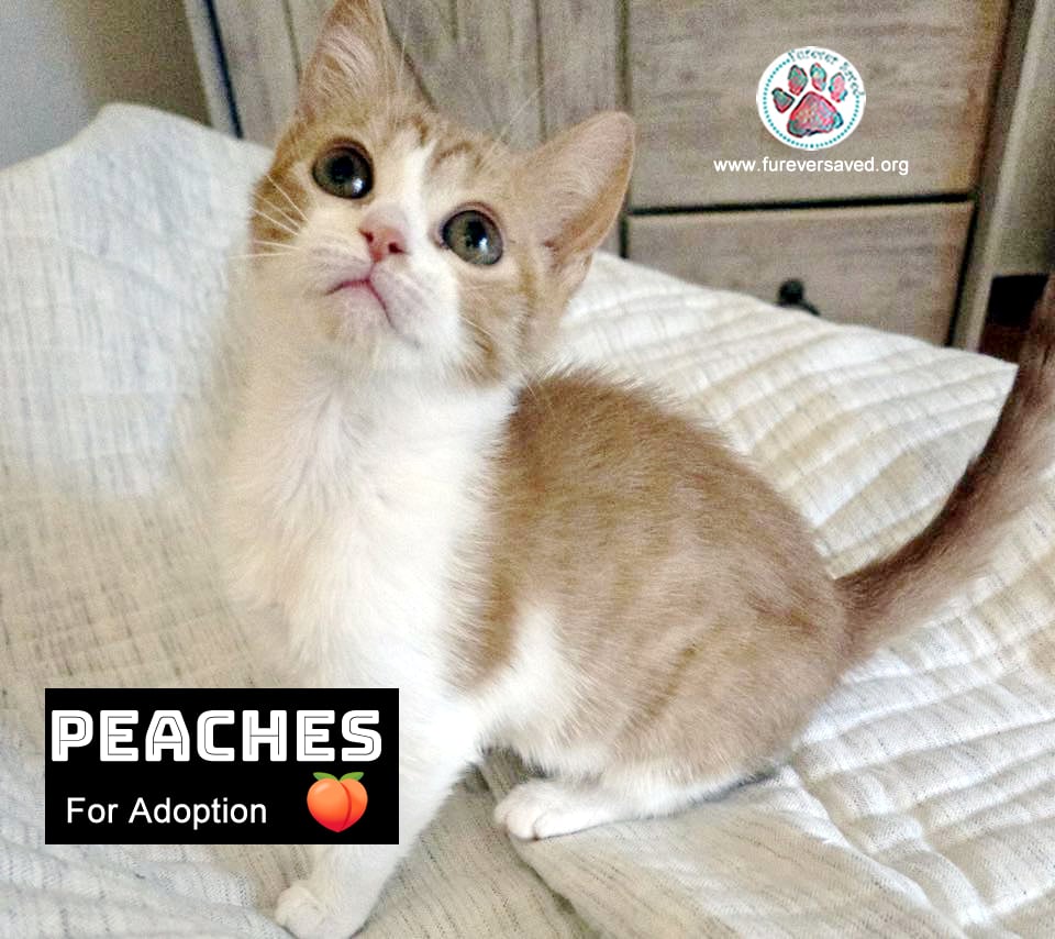 Peaches 5