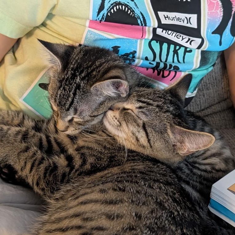 Tiger & Greyson Bonded thumbnail 4