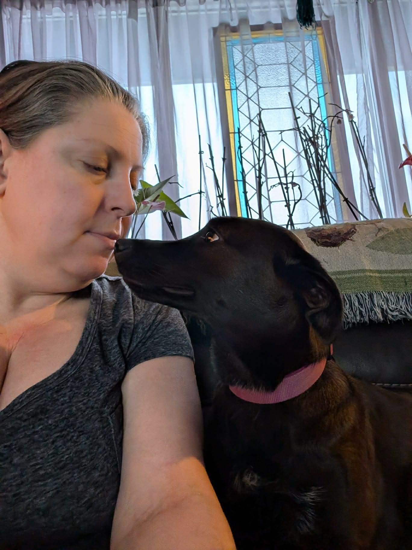 Enlarge Shyla, a ADOPTABLE mixed breed in Dunmore, AB image 4/5