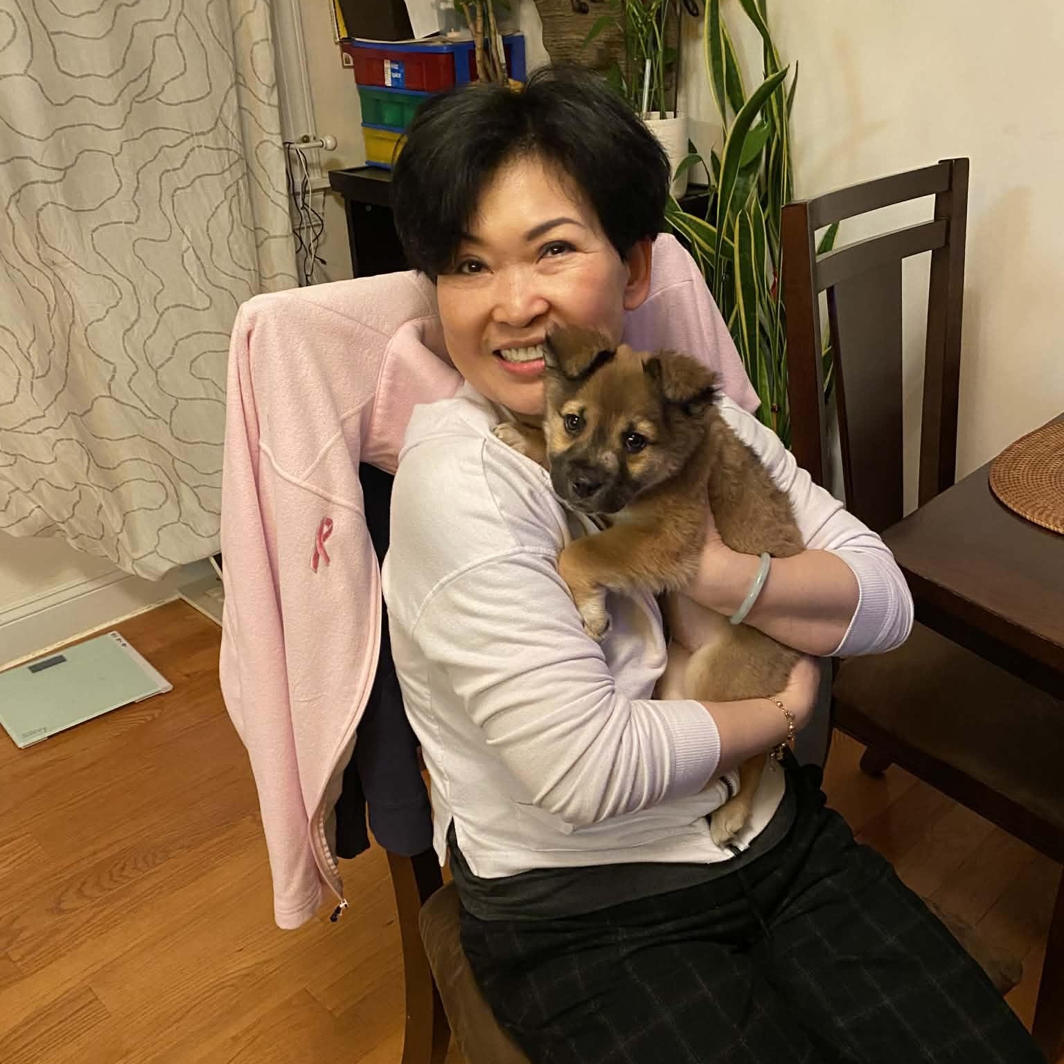 Enlarge Baby girl Estelle , a Adoptable mixed breed in Blue Bell, PA image 2/5