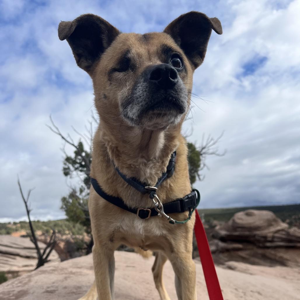 LuLu — thumbnail 3