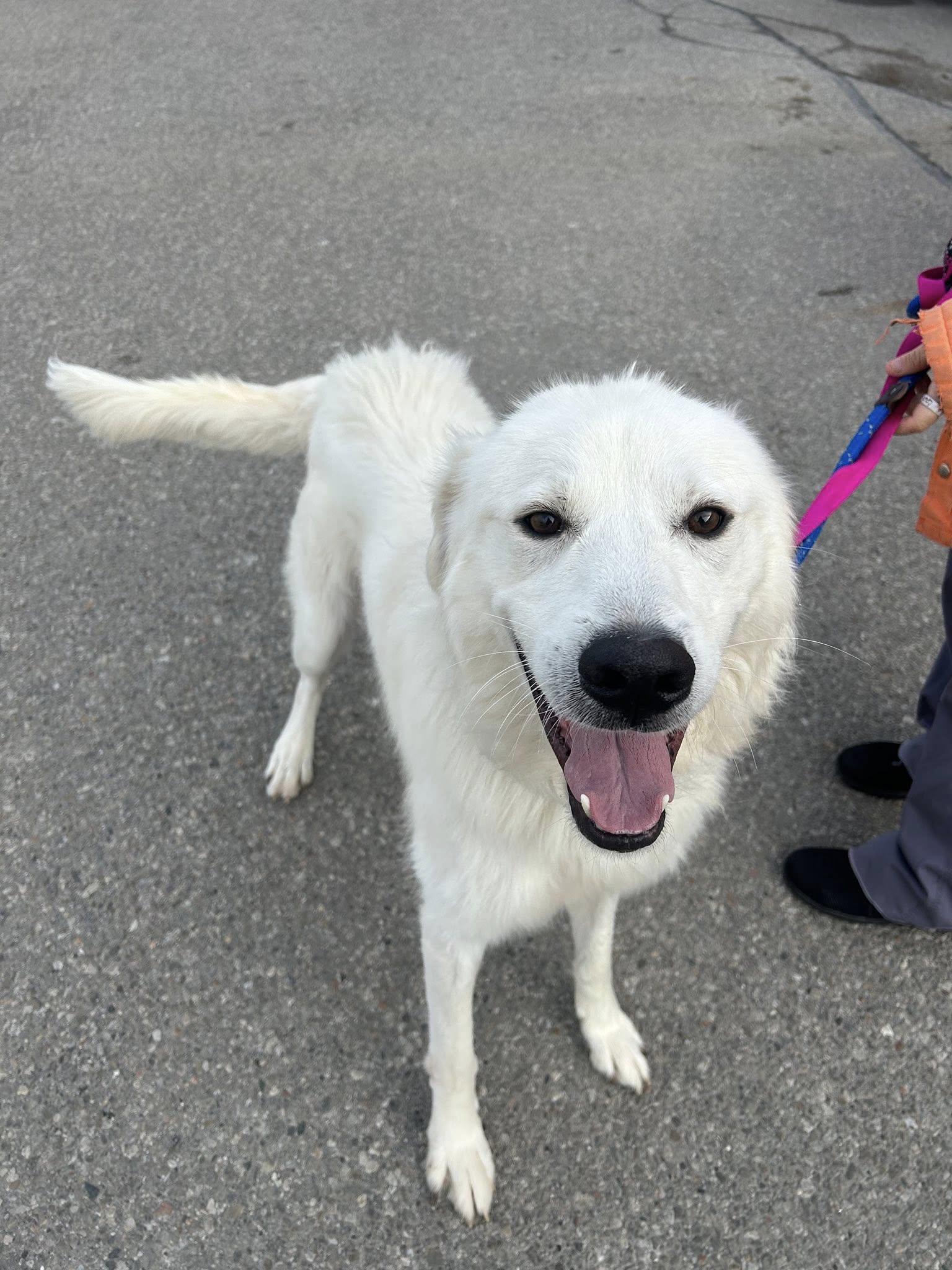 Casper (20251201-01)