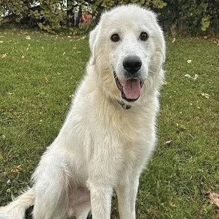 Casper (20251201-01) — thumbnail 2