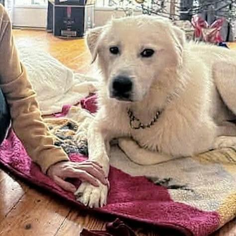 Casper (20251201-01) — thumbnail 4