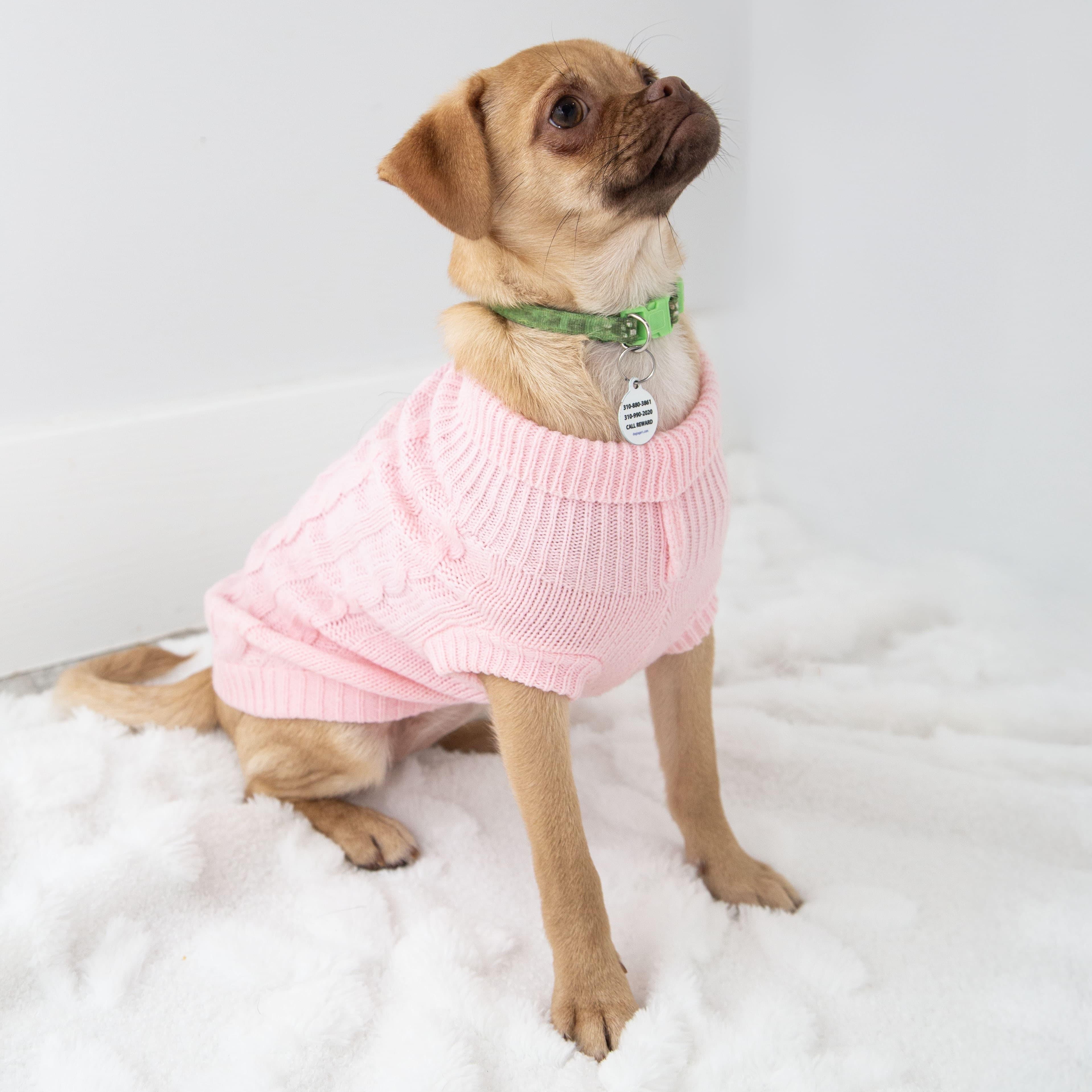 Juno, a ADOPTABLE mixed breed in Santa Monica, CA image 2/4