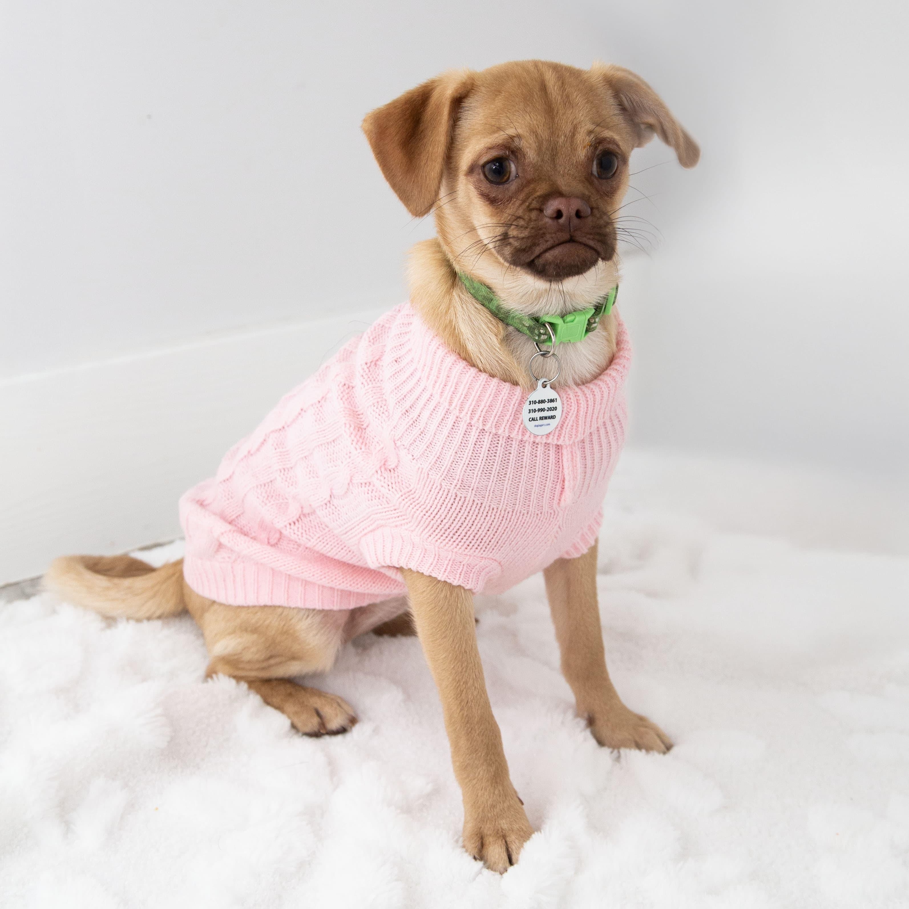 Juno, a ADOPTABLE mixed breed in Santa Monica, CA image 3/4