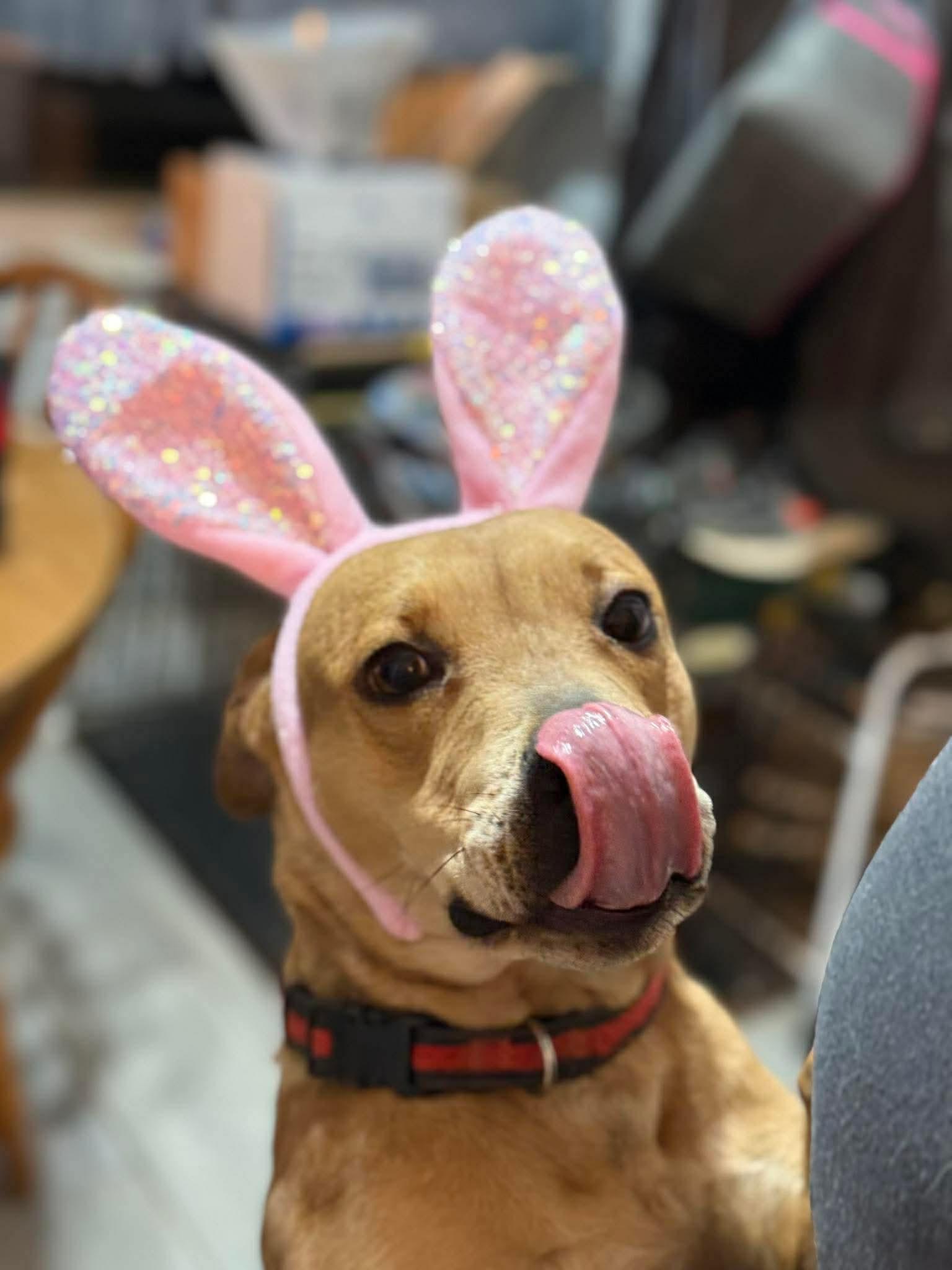 Pillow — thumbnail 2