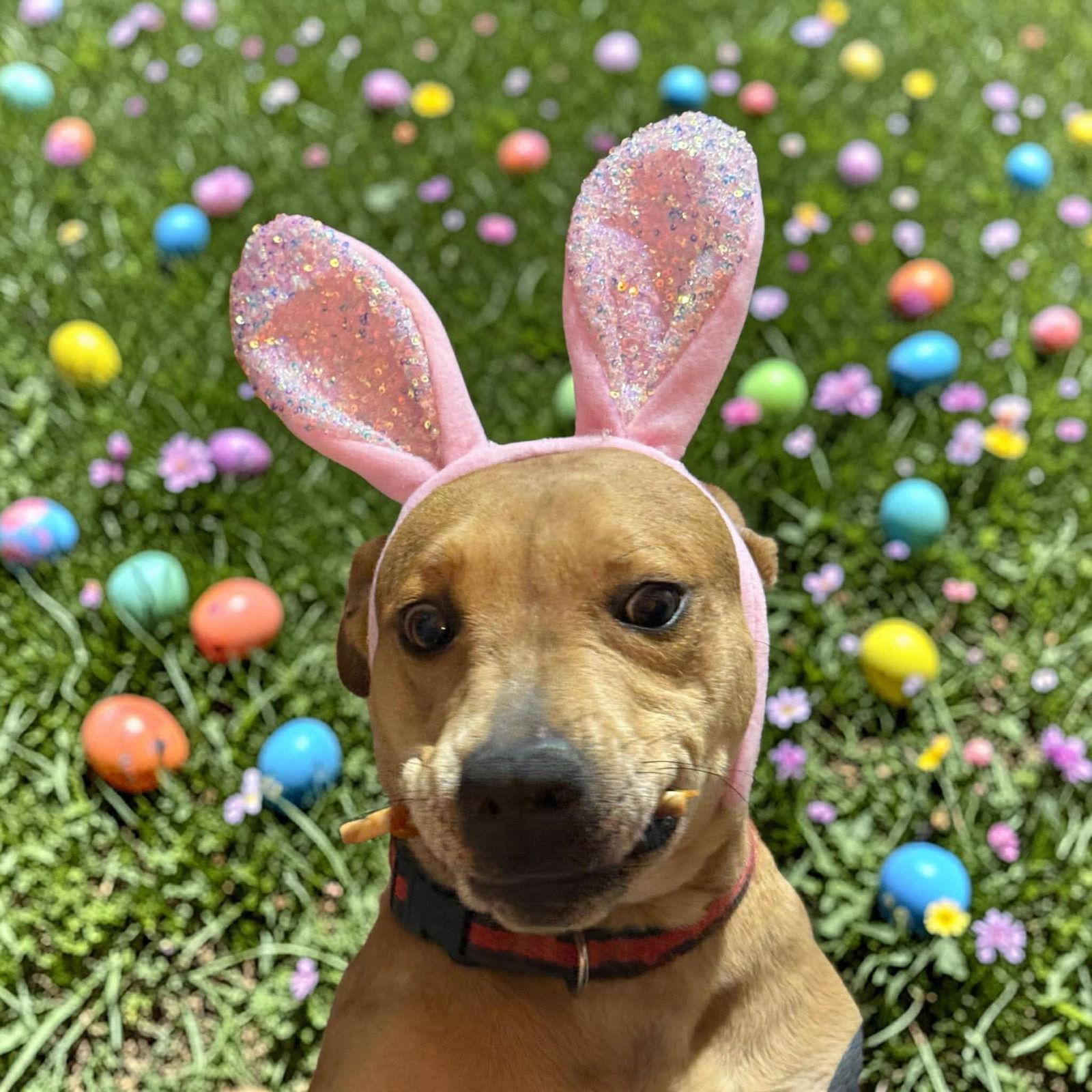 Pillow — thumbnail 3