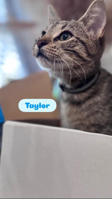 Taylor