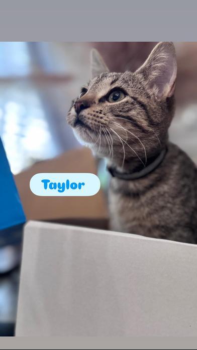 Taylor