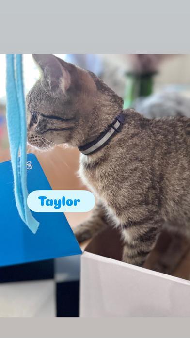 Taylor
