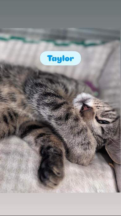 Taylor