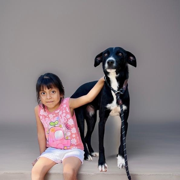 Enlarge Yang, a Adoptable mixed breed in Las Jarretaderas, NAY image 5/6